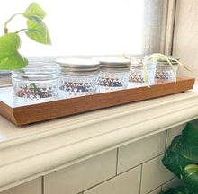 Load image into Gallery viewer, Paint Tray - Sorting Tray - Craft Tray - Propagation Jars - Montessori - Craft Storage - 4oz Mason Jars Included
