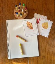 Load image into Gallery viewer, Stockmar Crayon Tray