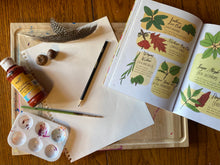 Load image into Gallery viewer, Paint Board - Craft Board - Lap Desk